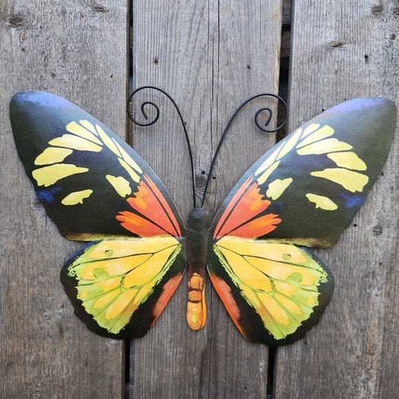 GREEN/ORANGE Swallowtail Butterfly, Dim: 14" L x 9.5" W - Picture 1 of 2